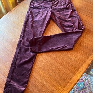 AG Farrah The Skinny size 32R - EUC (wine velvet)